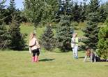 IMG_2118 (1280x853).jpg (146229 bytes)